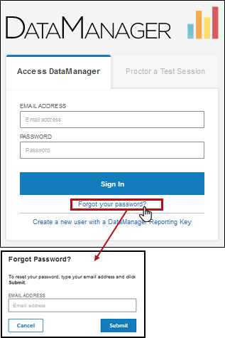 Reset Password form